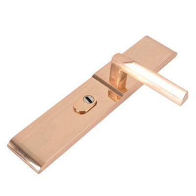 Kirsite Pressofusione Stampaggio ad iniezione di precisione Lucidatura a specchio Accessori per conchiglie per porte