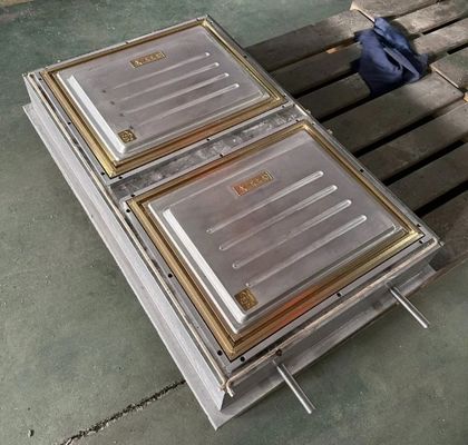 ABS / PA66 / PP / PC / PMMA Stampo di porta plastica a vuoto